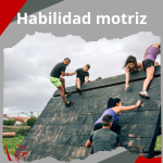 Habilidad motriz Habilidad motriz